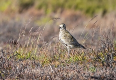 Highlights from the Yorkshire Dales
