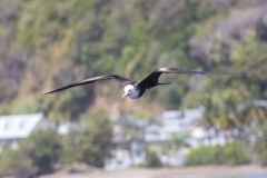 Tobago